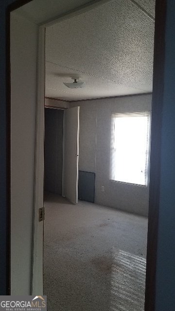 2331 Kesler Rd Carnesville - Photo 43