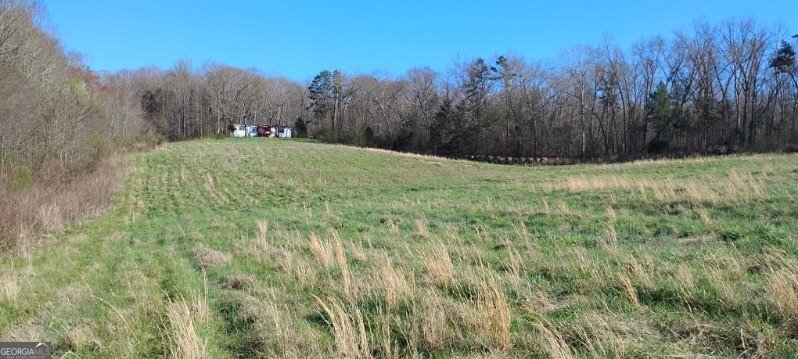 2331 Kesler Rd Carnesville - Photo 8