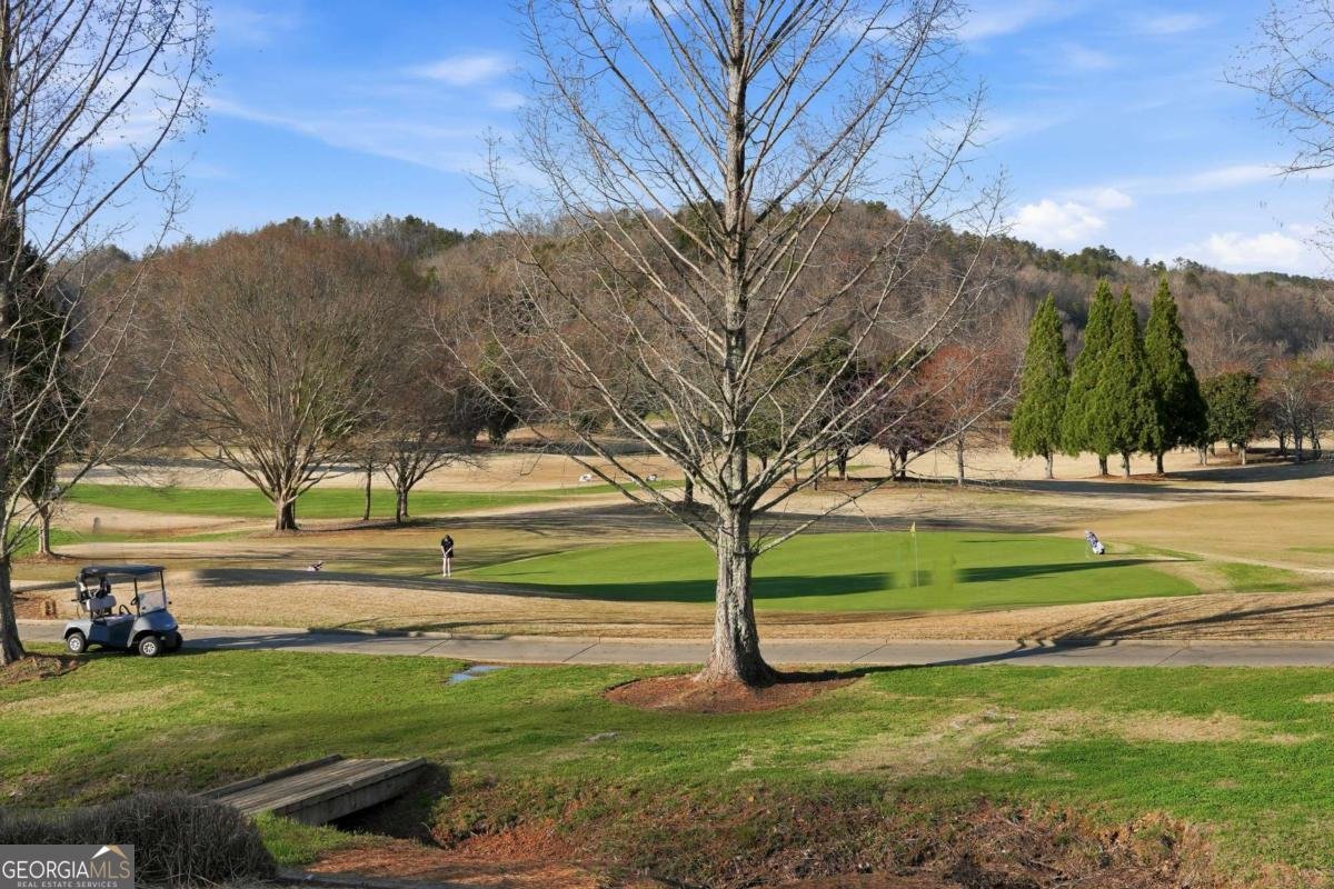 656 Prospector Trail Dahlonega - Photo 54