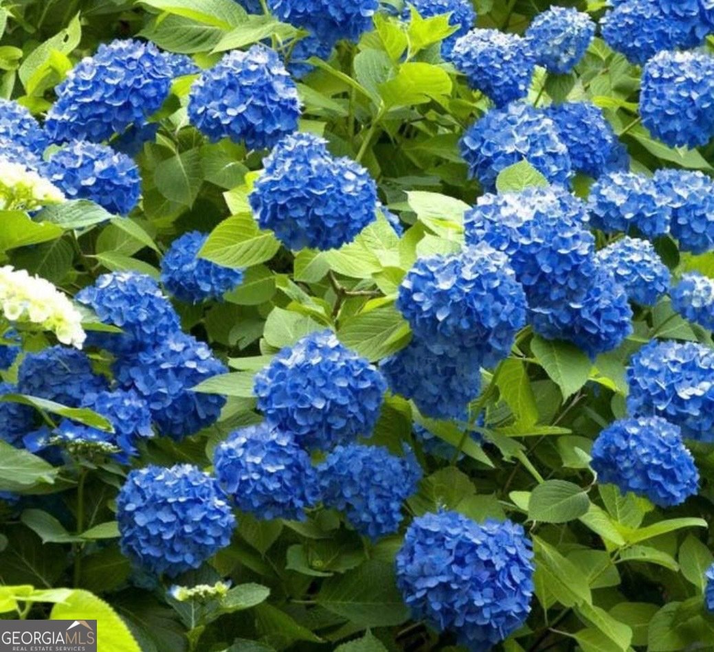 1071 Waterford Court Watkinsville - Photo 35