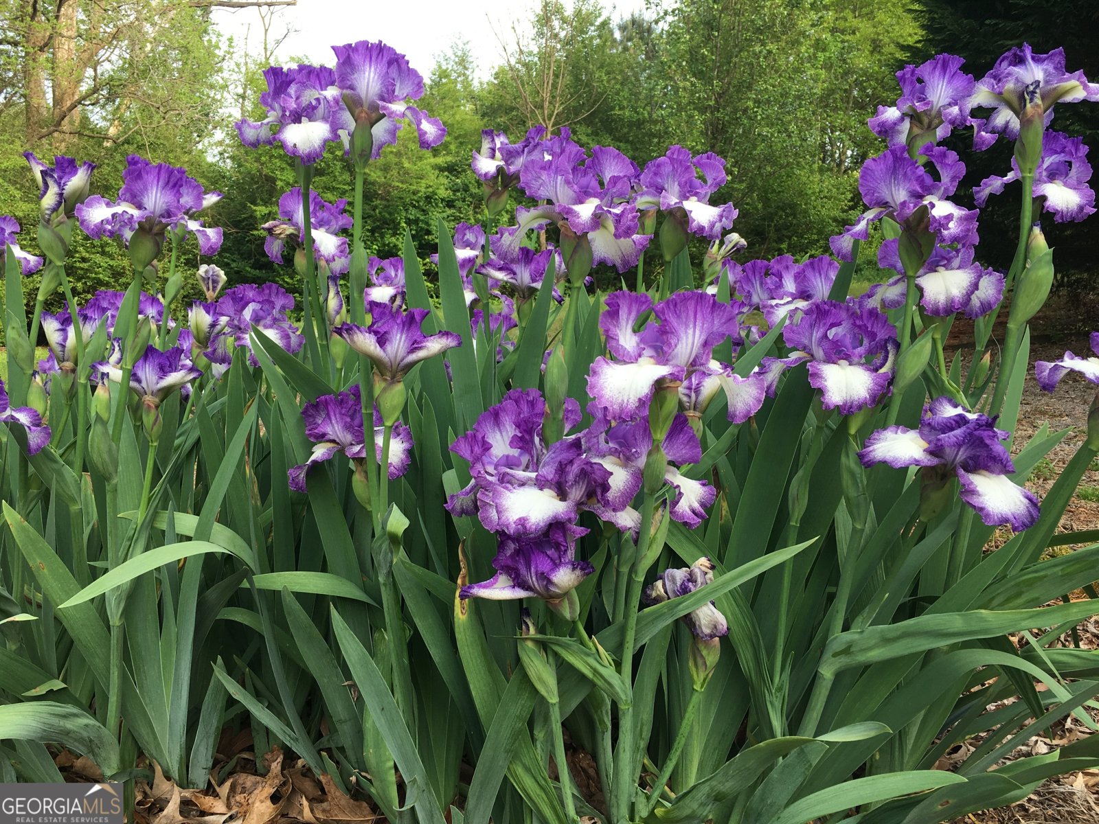 1071 Waterford Court Watkinsville - Photo 41