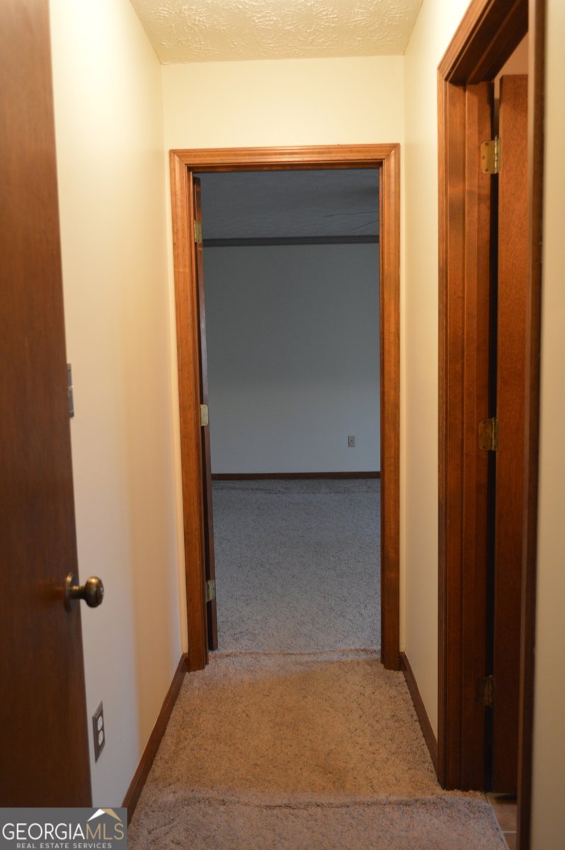 110 Sandy Drive Stockbridge - Photo 29