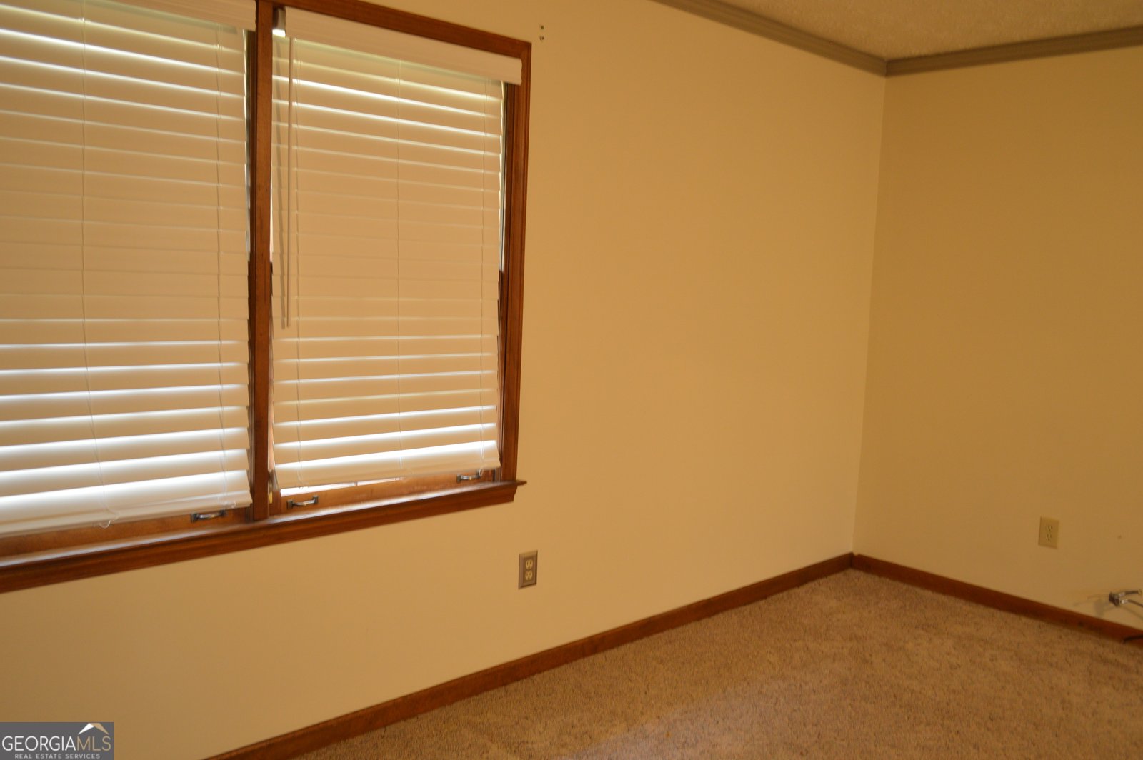 110 Sandy Drive Stockbridge - Photo 33