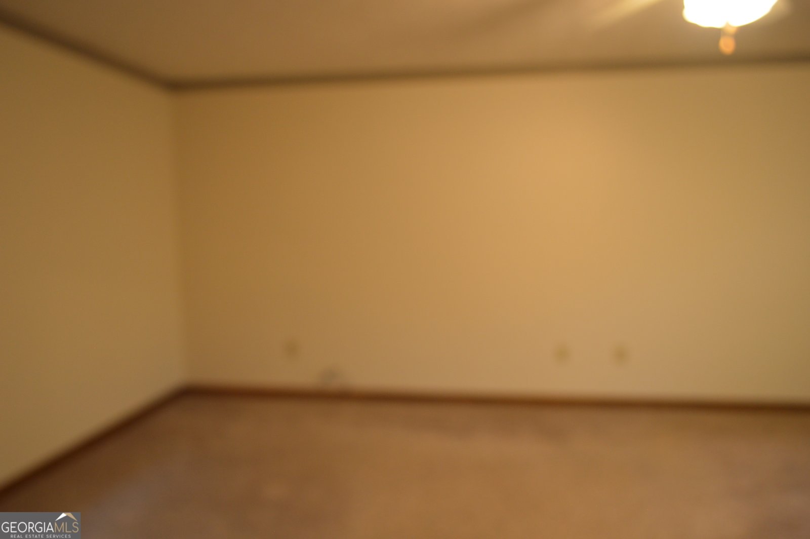 110 Sandy Drive Stockbridge - Photo 34