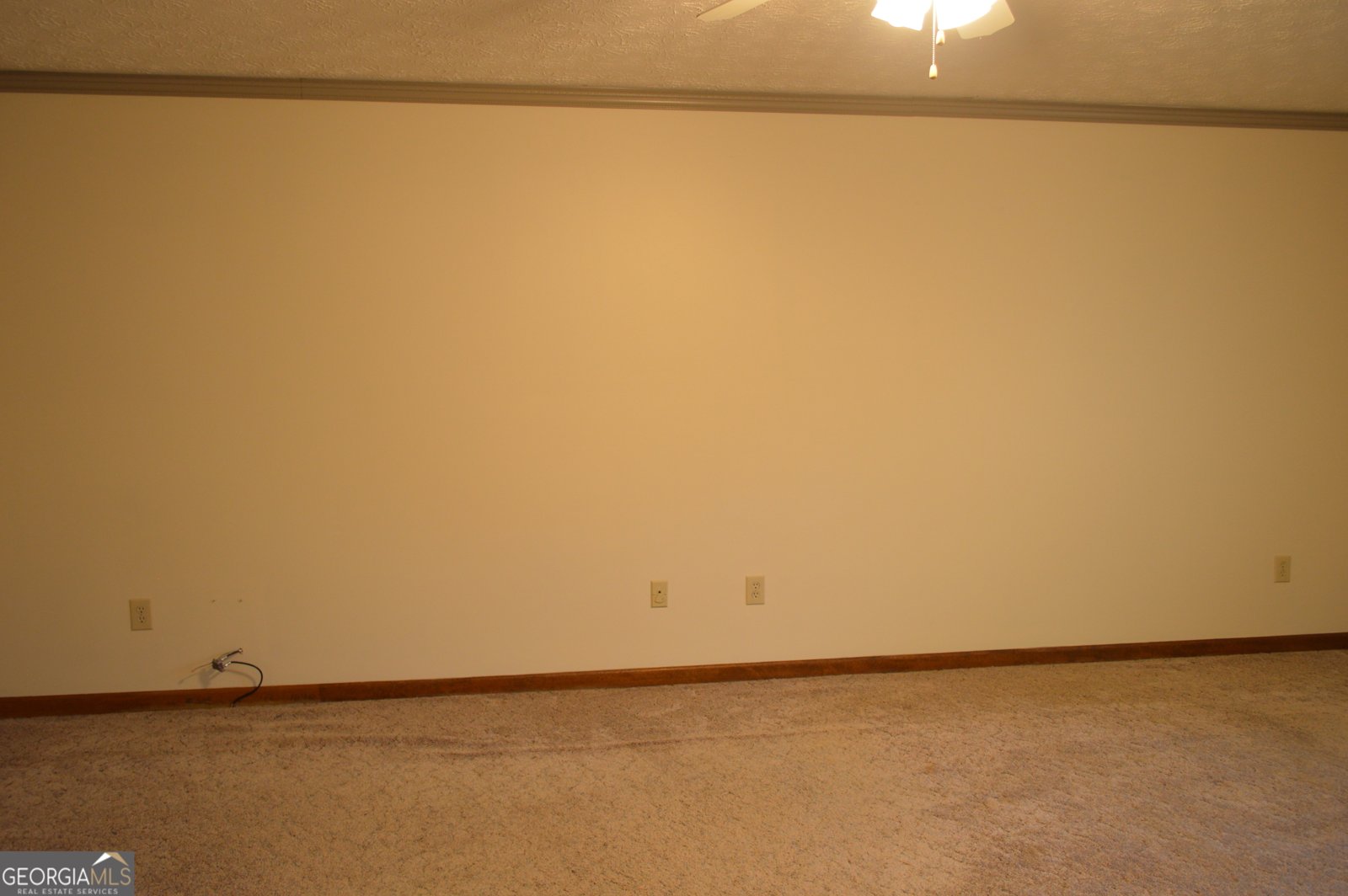 110 Sandy Drive Stockbridge - Photo 35