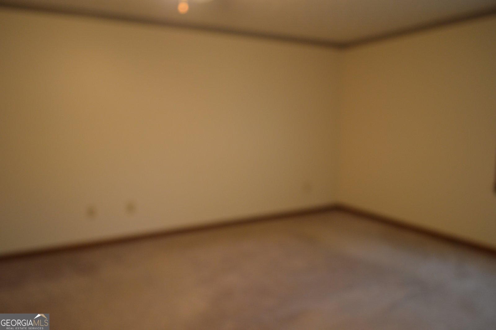 110 Sandy Drive Stockbridge - Photo 36