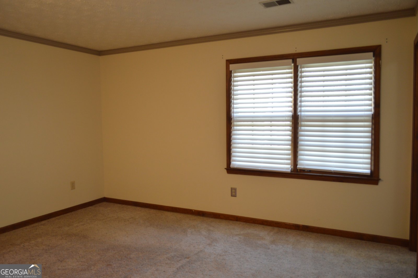 110 Sandy Drive Stockbridge - Photo 37