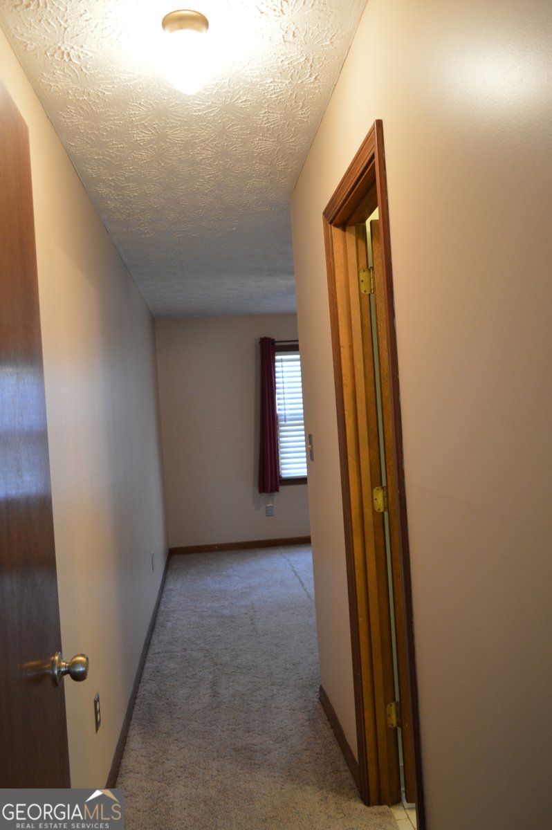 110 Sandy Drive Stockbridge - Photo 41