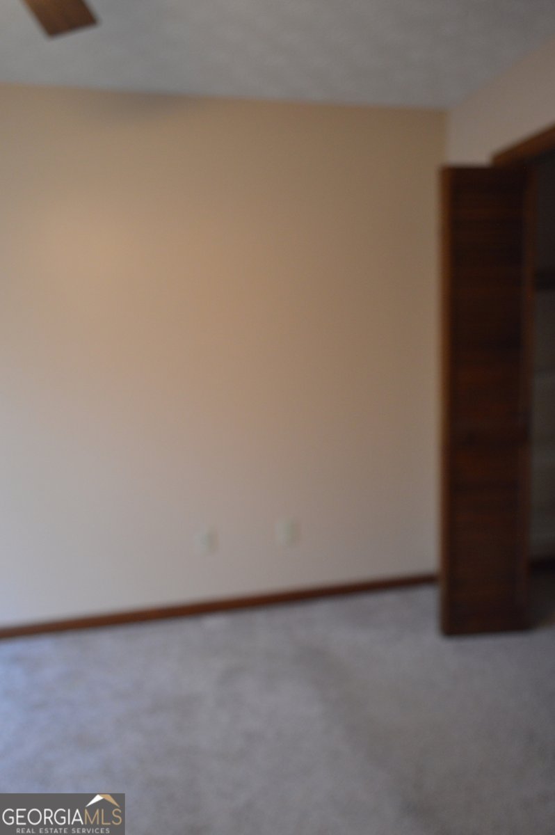 110 Sandy Drive Stockbridge - Photo 44