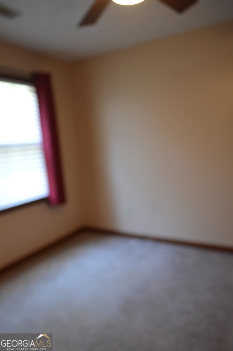 110 Sandy Drive Stockbridge - Photo 45