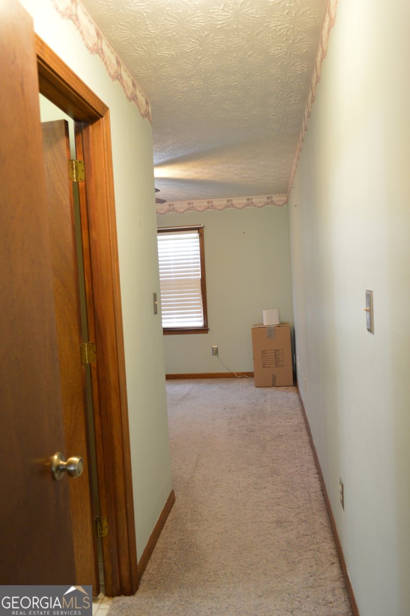 110 Sandy Drive Stockbridge - Photo 49