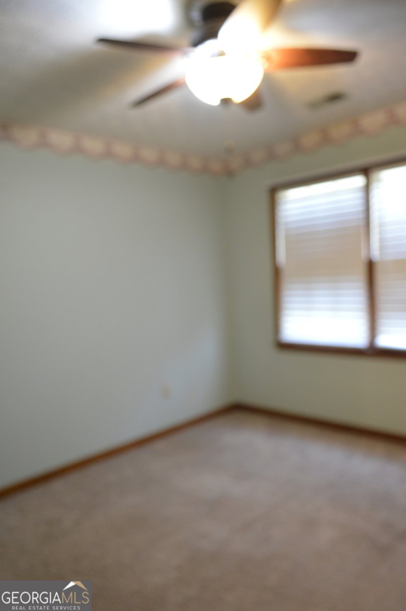 110 Sandy Drive Stockbridge - Photo 52