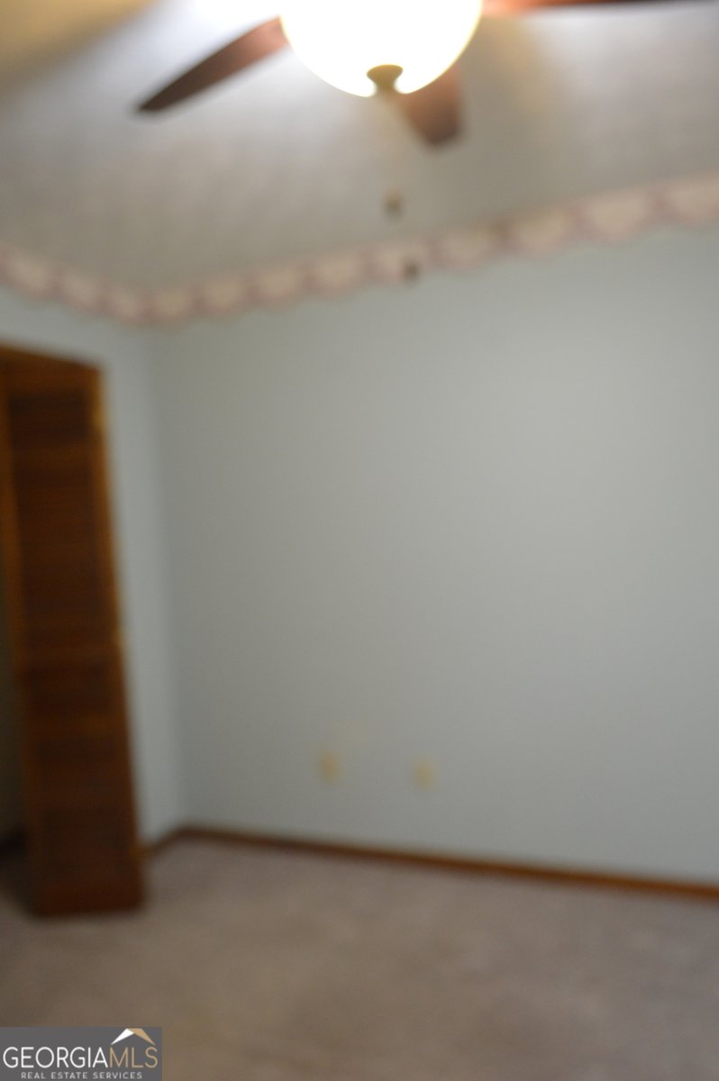 110 Sandy Drive Stockbridge - Photo 53