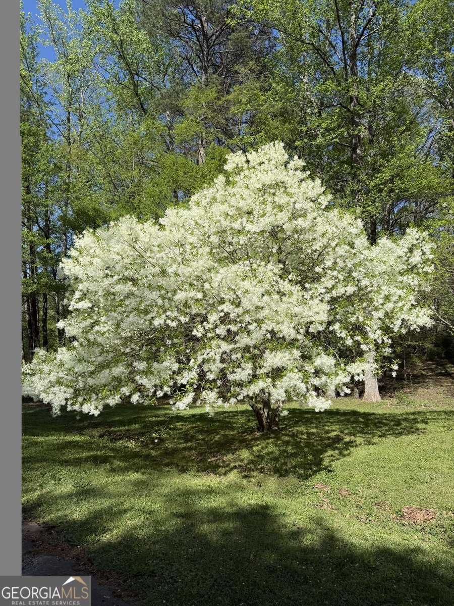 110 Sandy Drive Stockbridge - Photo 9