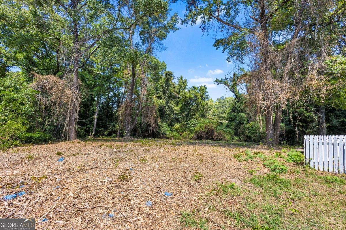 3880 Irwin Bridge Road Conyers - Photo 85