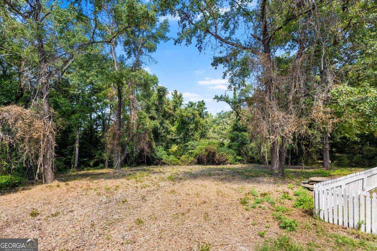 3880 Irwin Bridge Road Conyers - Photo 86