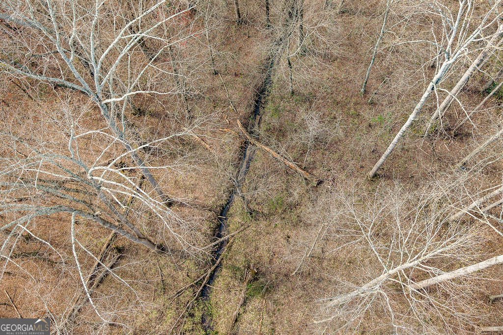 356 Clarksboro Drive Athens - Photo 77