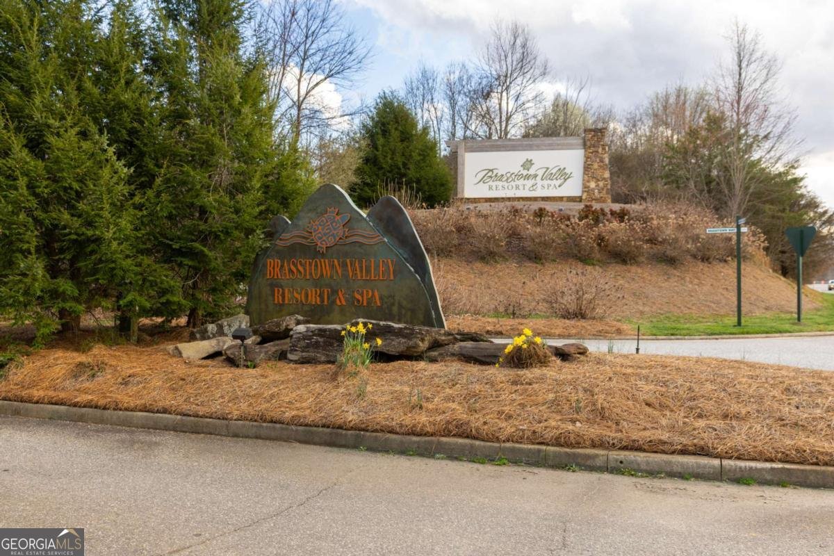 928 Kirkland Drive Hiawassee - Photo 52