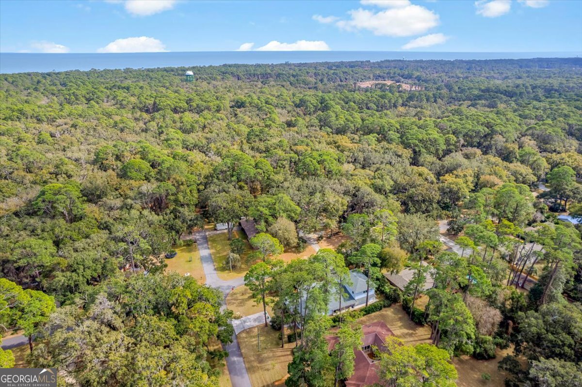 636 Old Plantation Road Jekyll Island - Photo 16