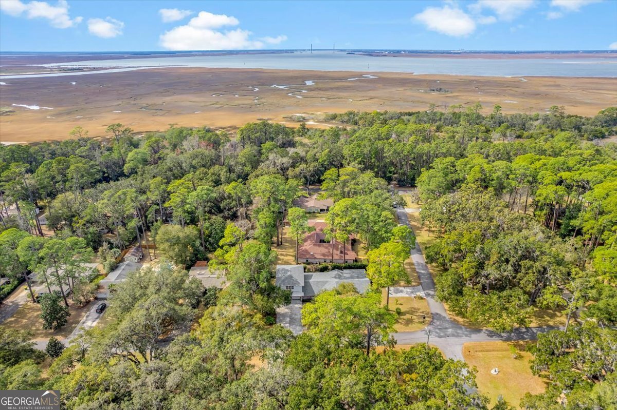 636 Old Plantation Road Jekyll Island - Photo 17