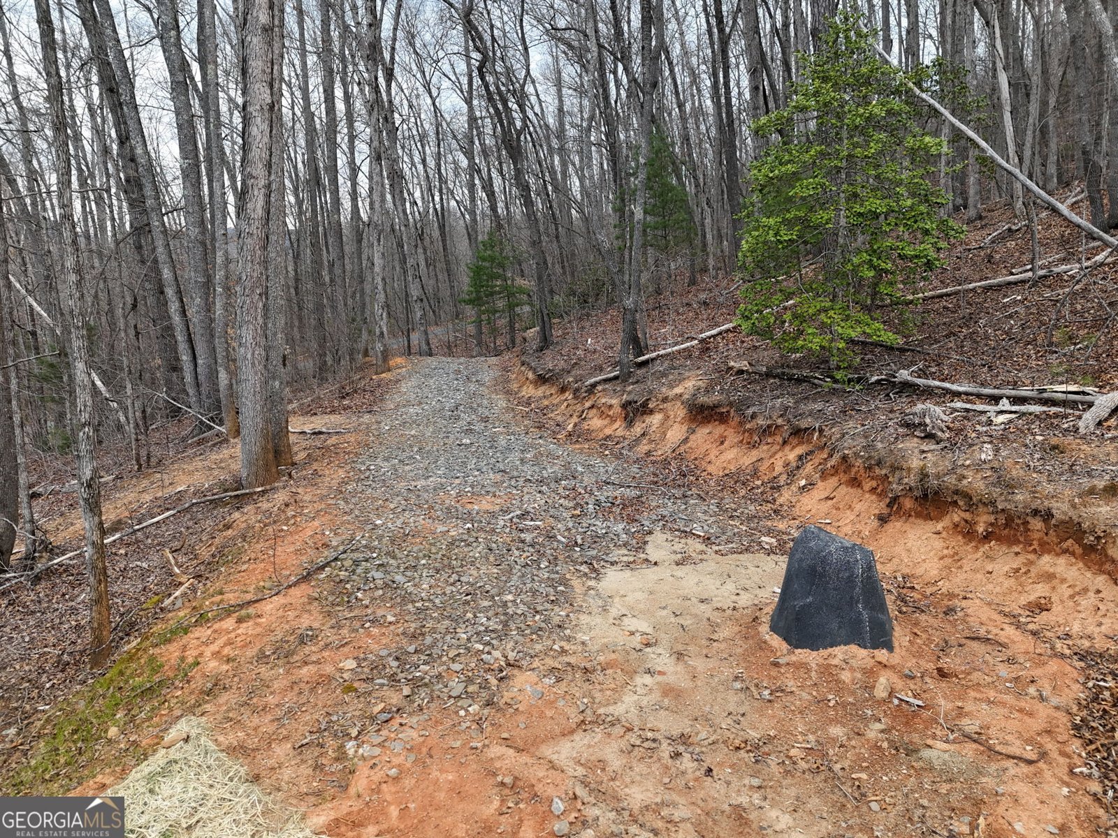 472 Hogsed Drive Hayesville - Photo 48
