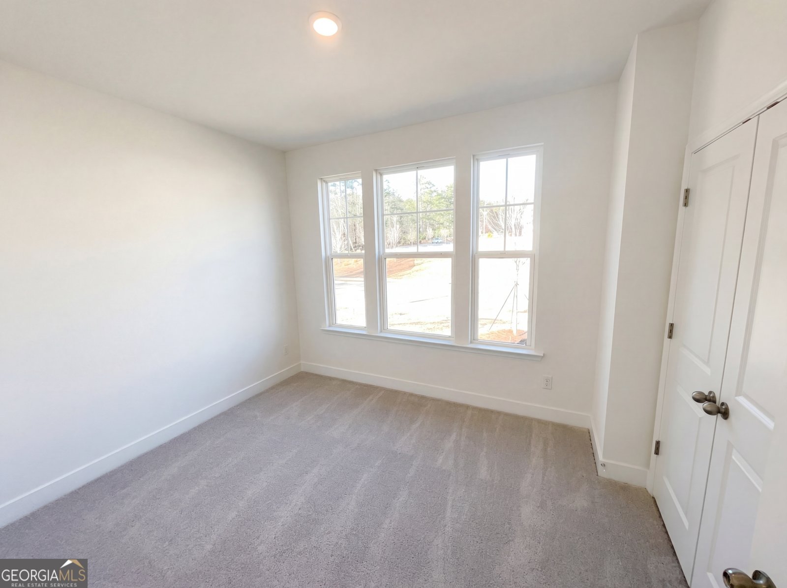 4 Mayhaw Point Sharpsburg - Photo 15