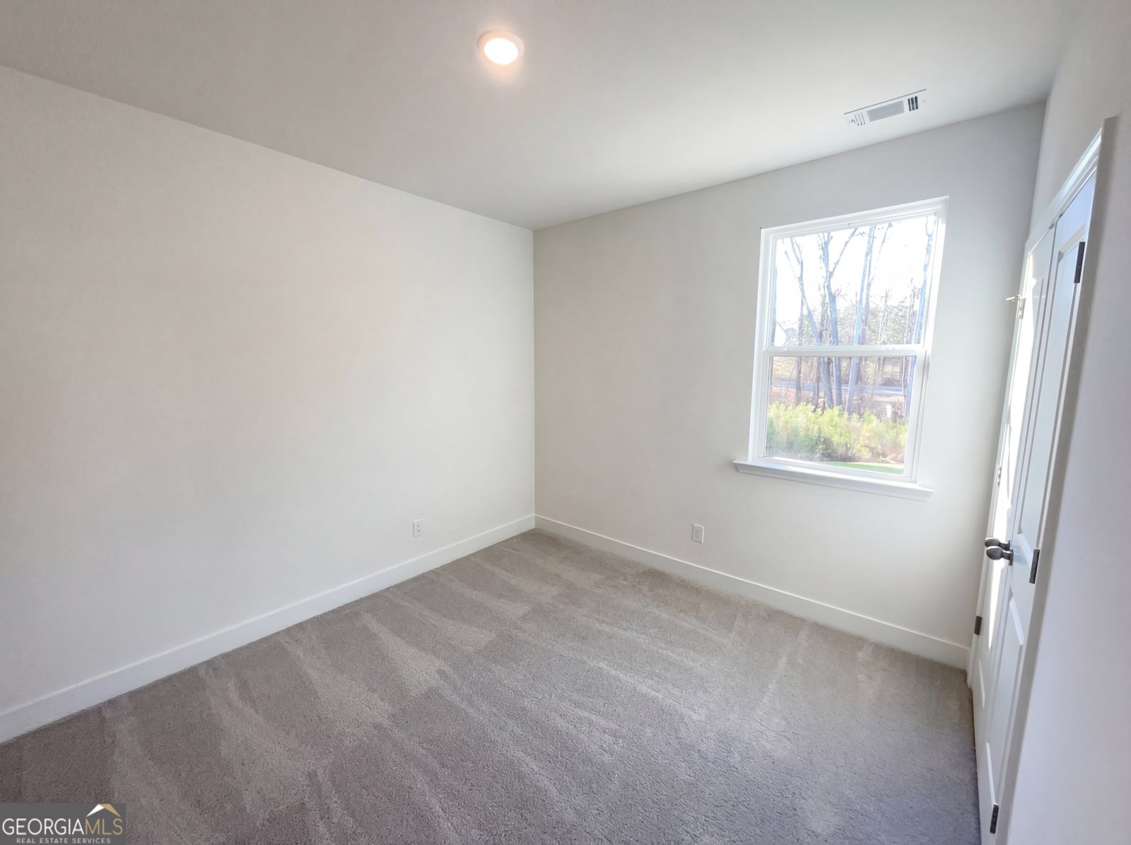 4 Mayhaw Point Sharpsburg - Photo 17