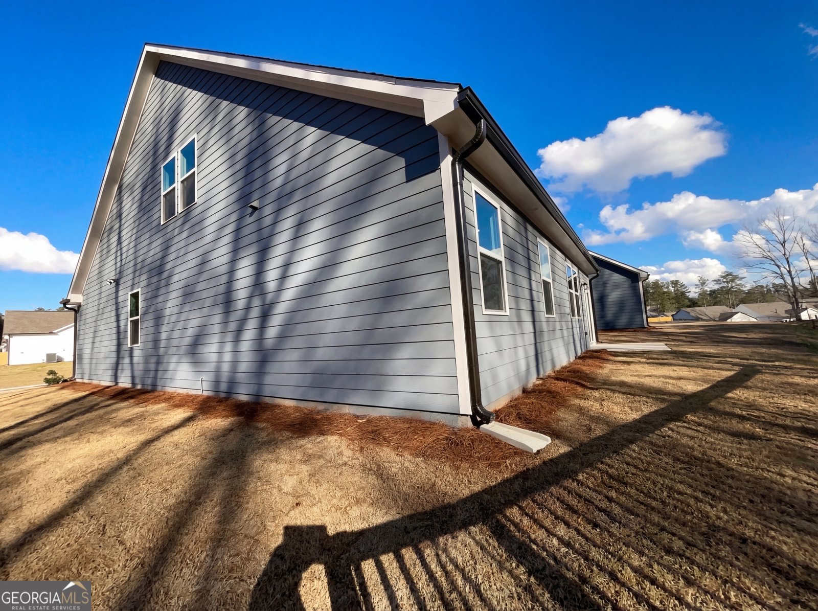 4 Mayhaw Point Sharpsburg - Photo 7