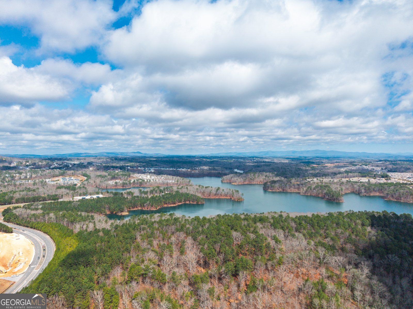 206 White Cloud Run Canton - Photo 66