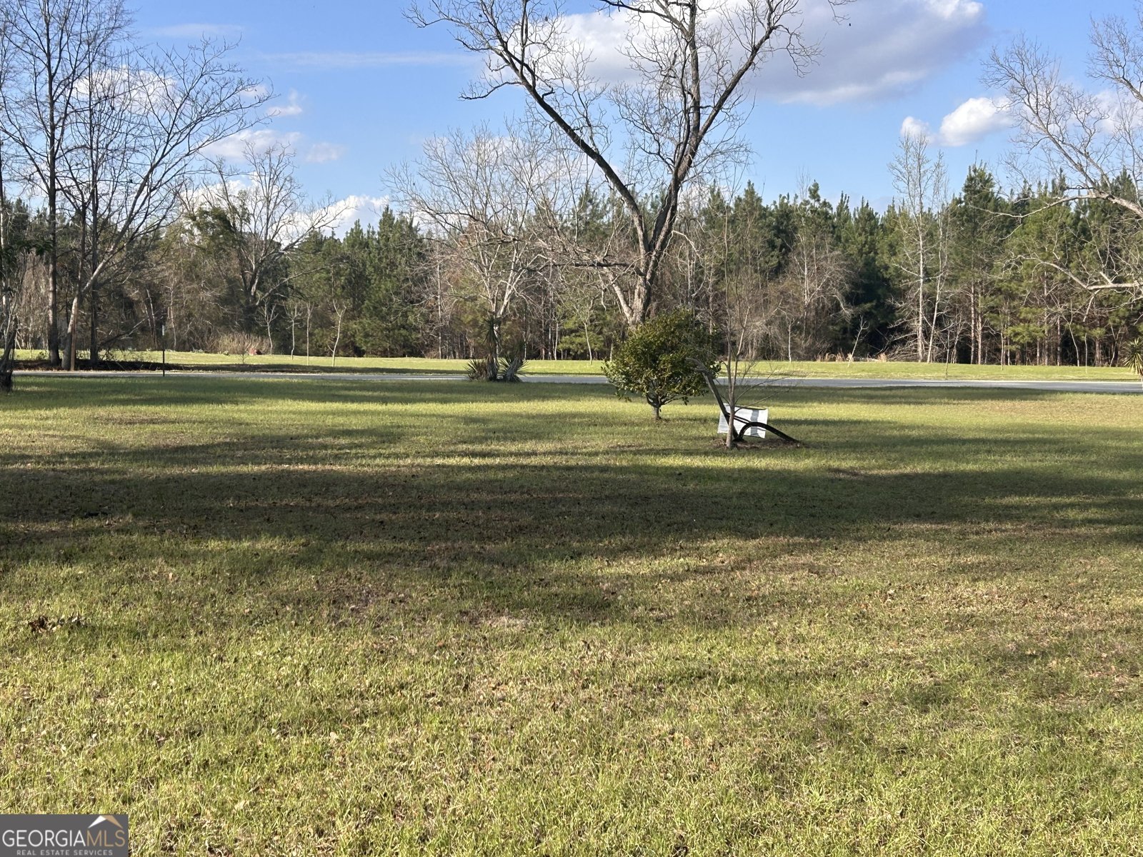 270 Forehand Lane Sylvania - Photo 6