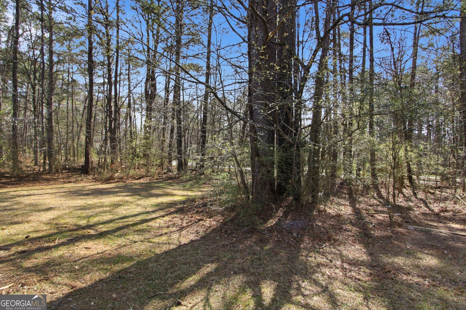 2296 Talbot Ridge Jonesboro - Photo 42