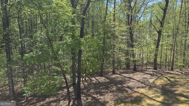 7032 Camp Falls Court Winston - Photo 45