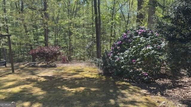 7032 Camp Falls Court Winston - Photo 46