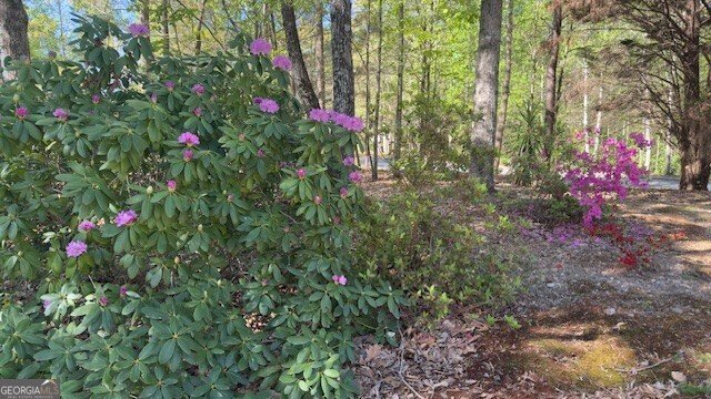 7032 Camp Falls Court Winston - Photo 48