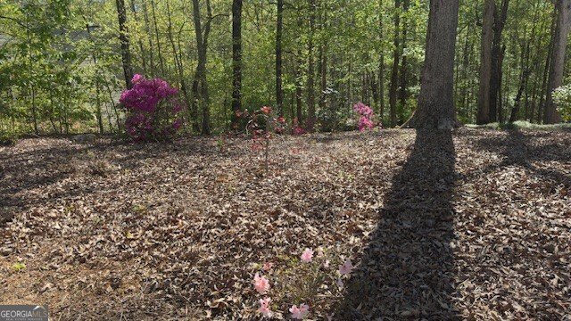 7032 Camp Falls Court Winston - Photo 49