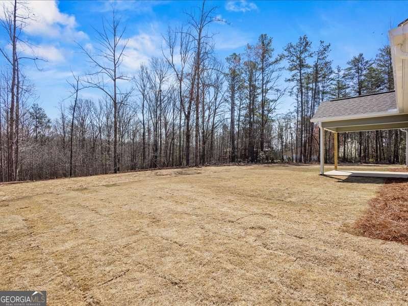 1495 Kansas Jake Rd Bowdon - Photo 28