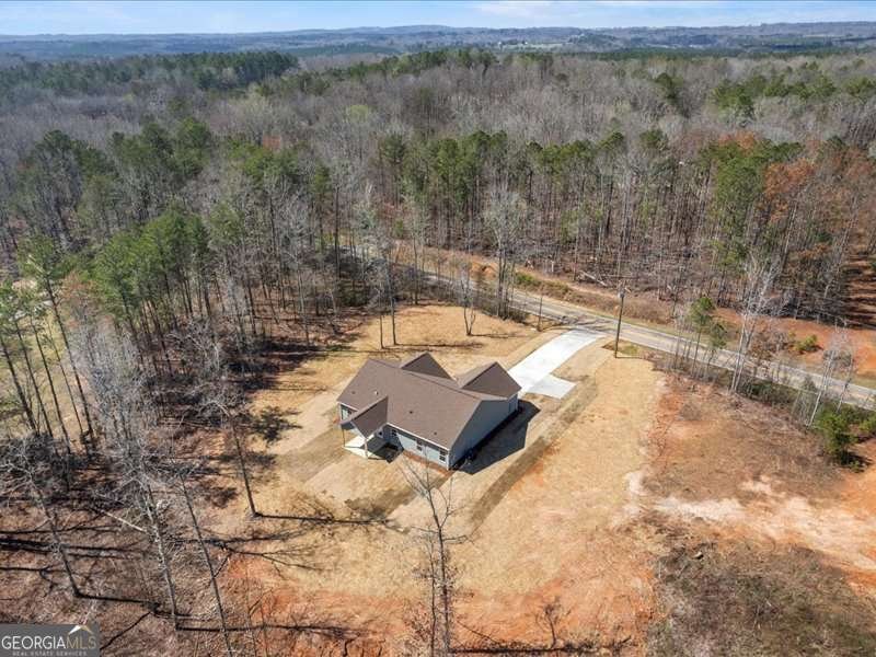 1495 Kansas Jake Rd Bowdon - Photo 37