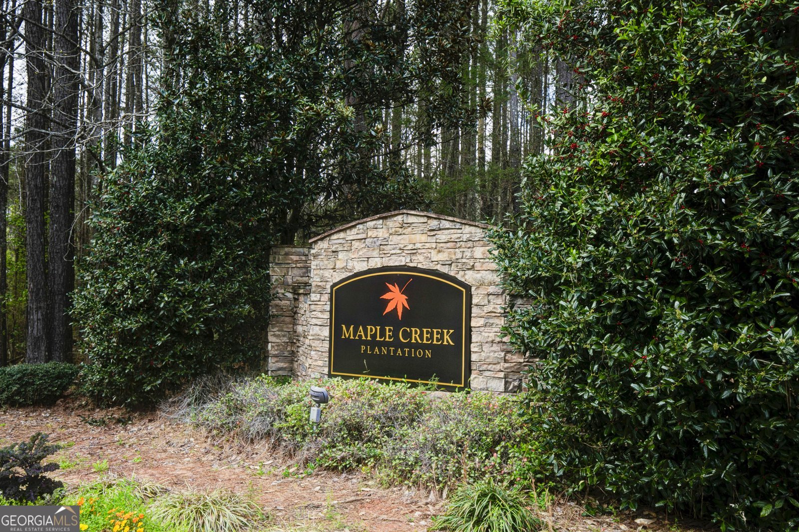 128 Harris Trail Newnan - Photo 63
