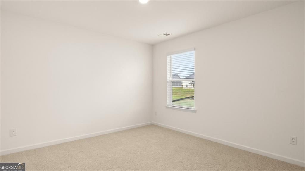 2999 Champions Way Loganville - Photo 43