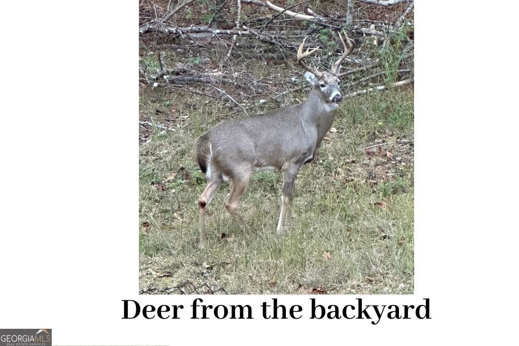 180 Lockwood Road Fayetteville - Photo 54