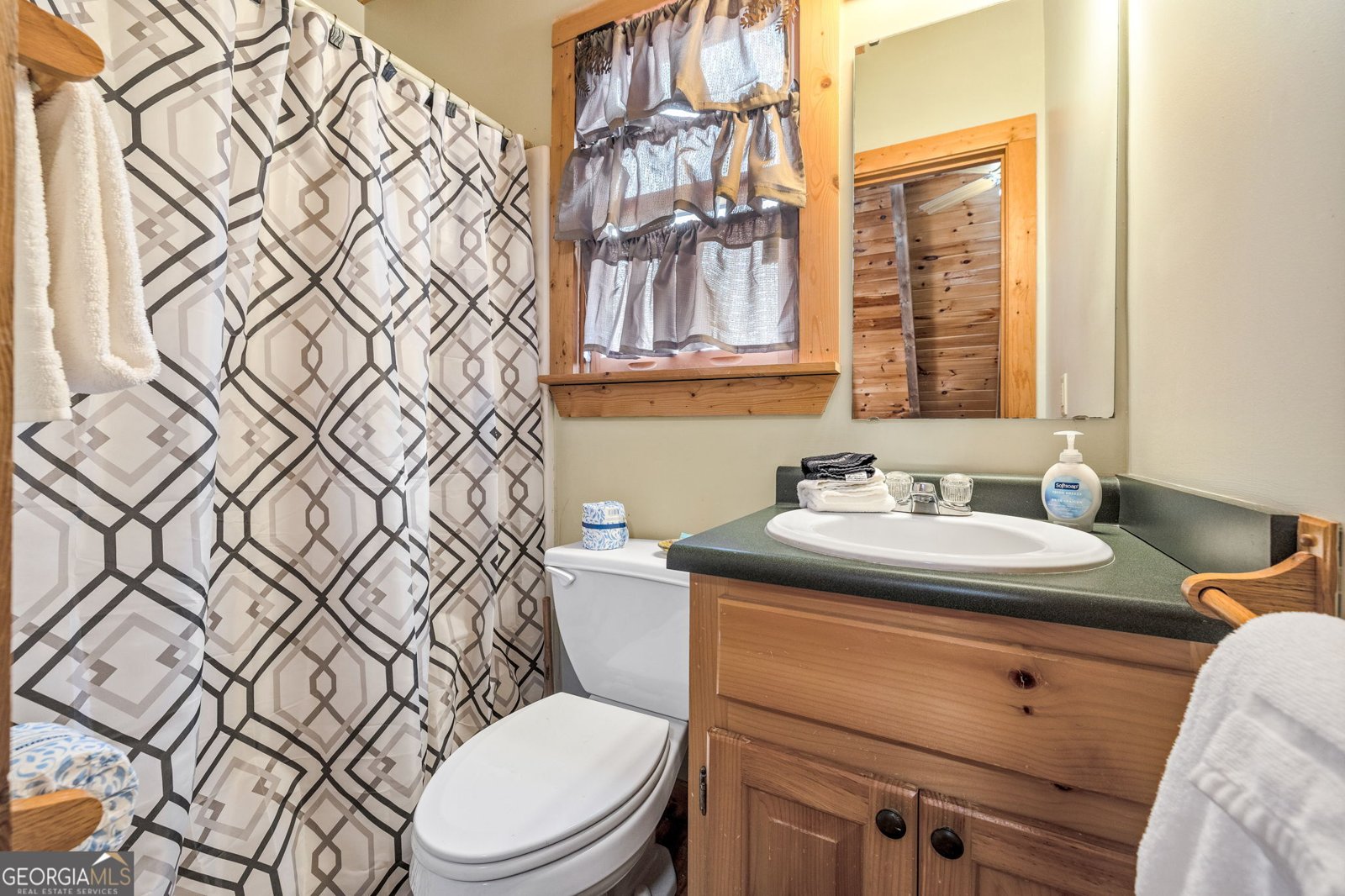 445 Skyview Circle Clarkesville - Photo 19