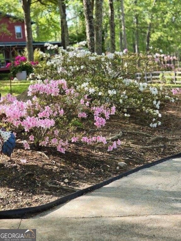 5419 Tyree Road Winston - Photo 51