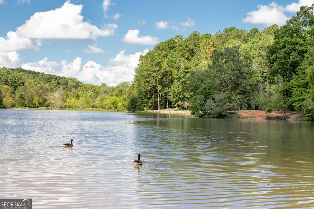 1176 Bluffhaven Way Brookhaven - Photo 44