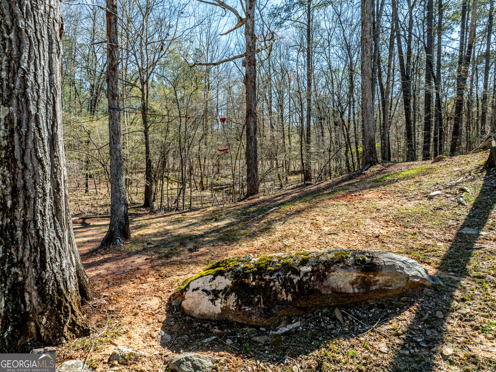 159 Dam Road Milledgeville - Photo 70