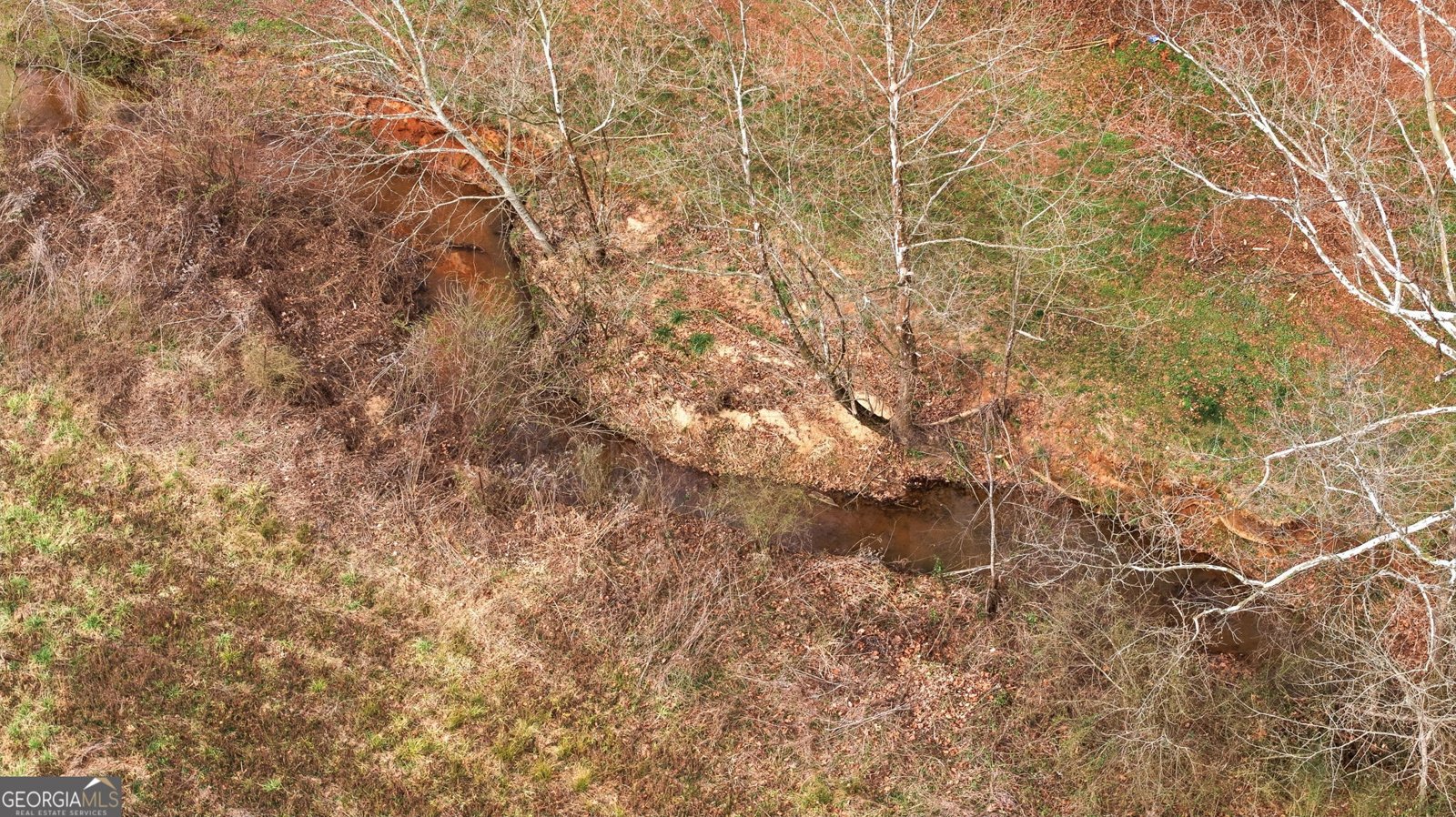 1429 Crumps Bridge Road Martin - Photo 52