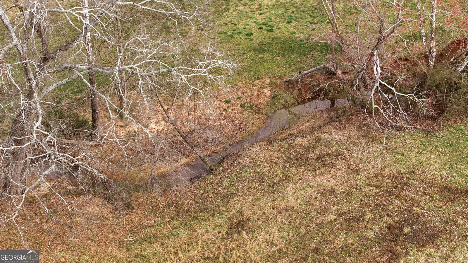 1429 Crumps Bridge Road Martin - Photo 53