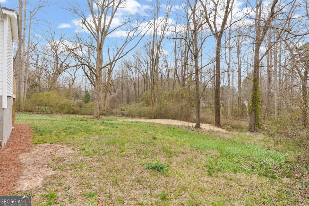 285 Third Street Fruithurst - Photo 40