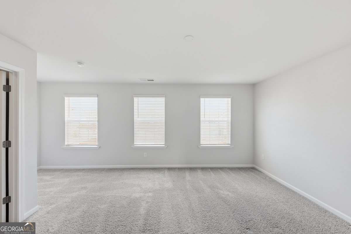 837 Royal Red Court Mcdonough - Photo 18