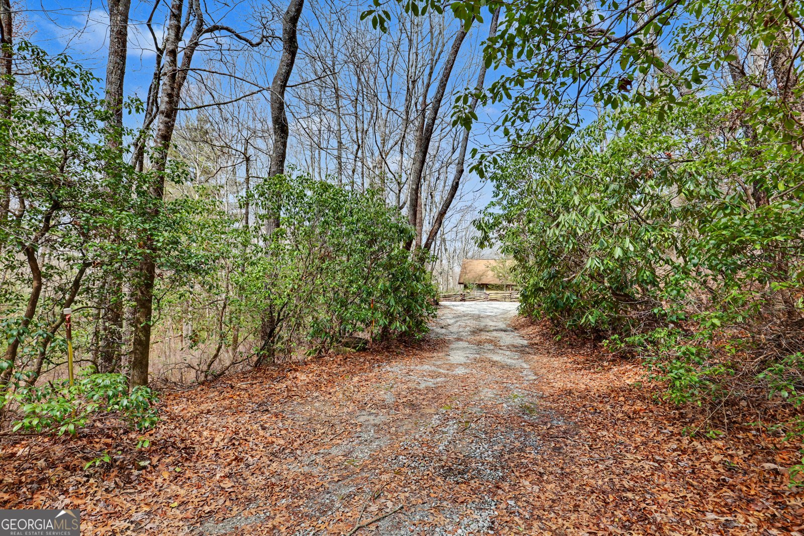 559 Maple Leaf Drive Dillard - Photo 34