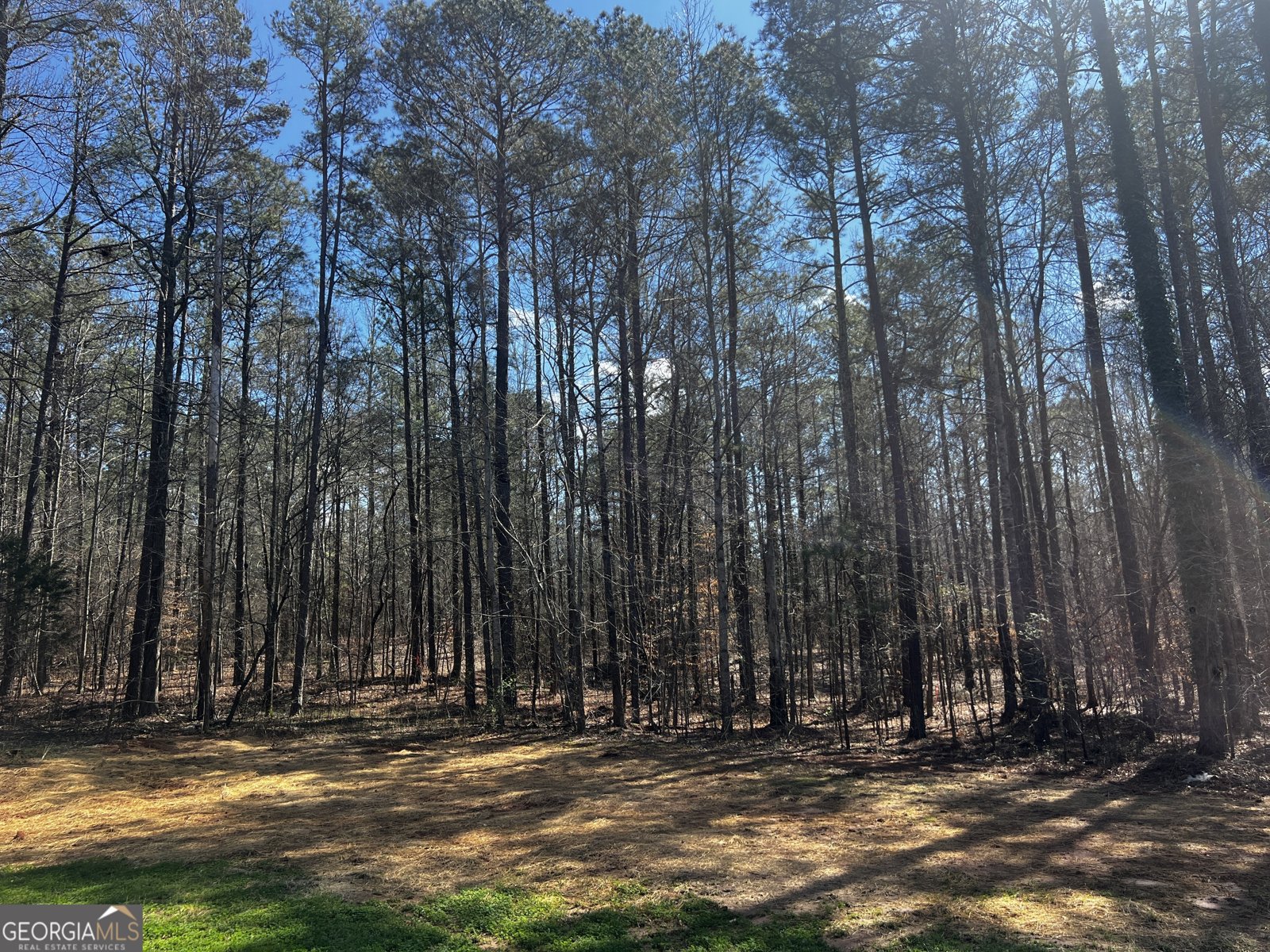 886 Walnut Drive Monroe - Photo 14